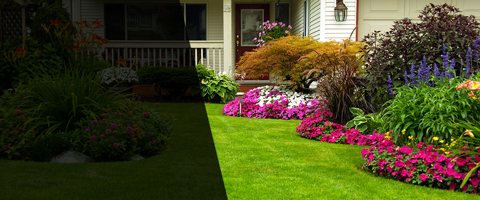 Ellenton Landscapers