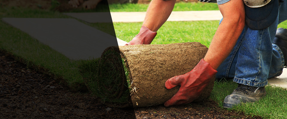 Ellenton Landscapers